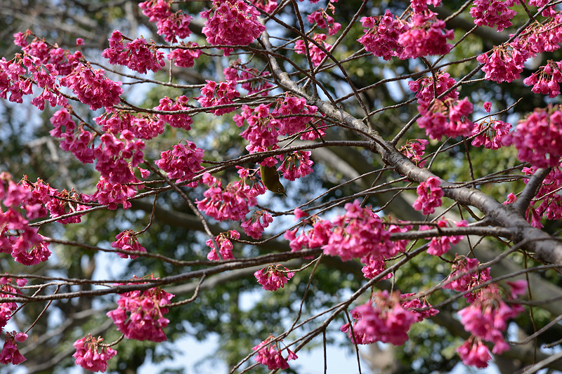 image0138