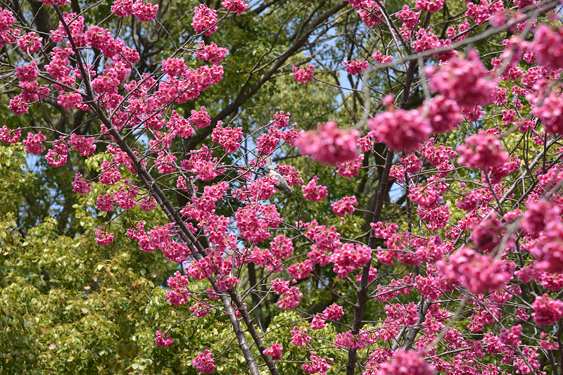 image0140