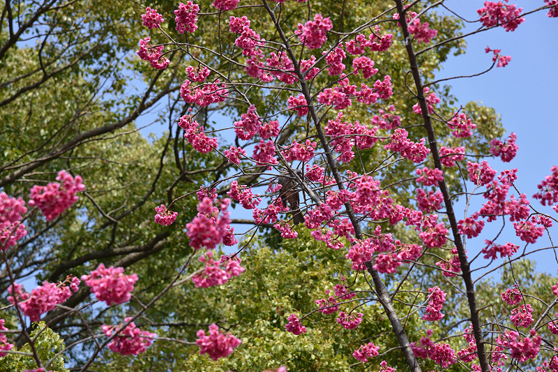 image0141