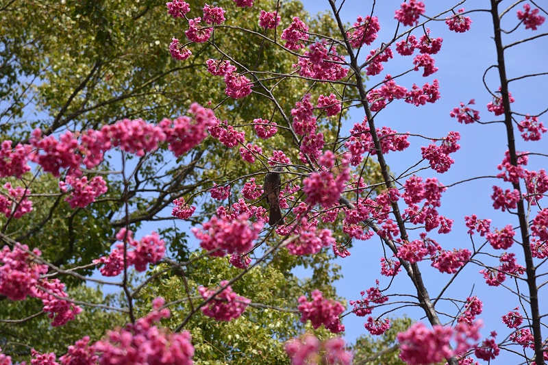 image0142