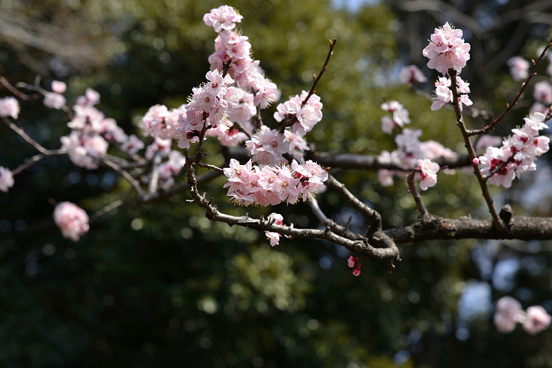image0150