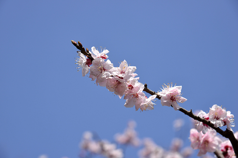 image0154