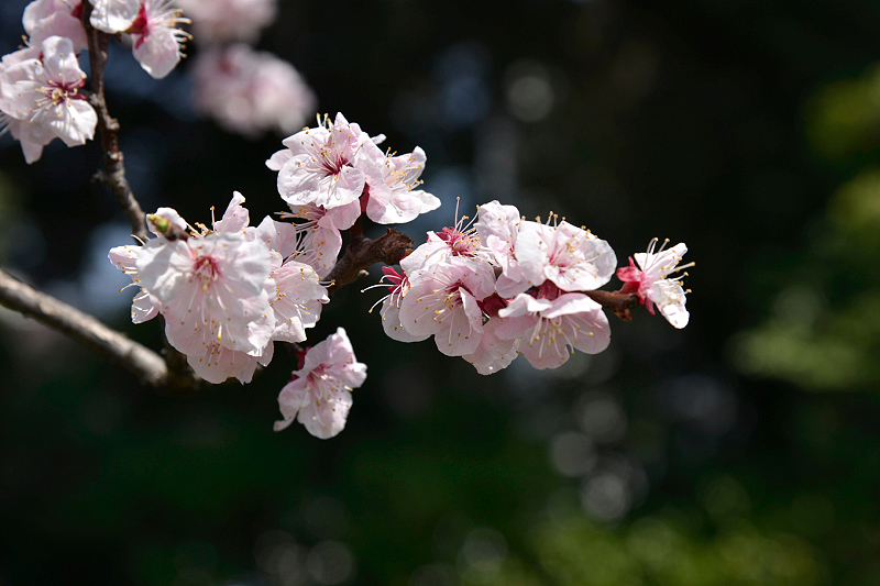 image0183