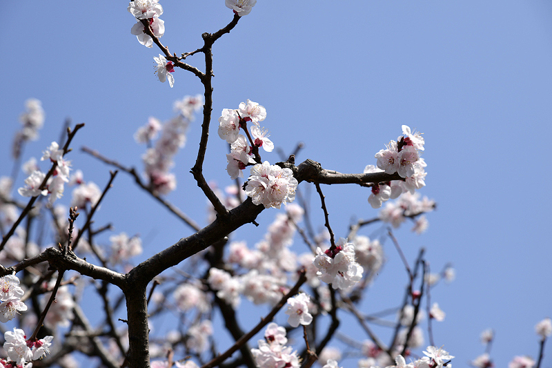 image0186