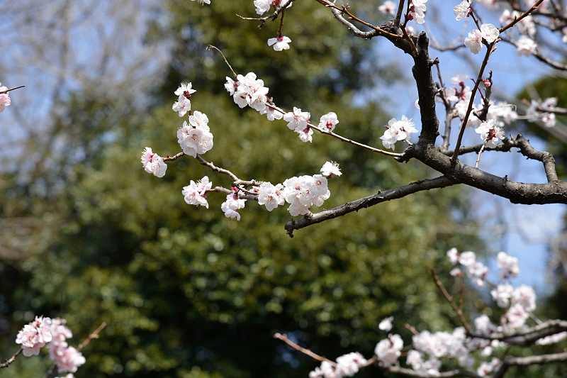 image0191