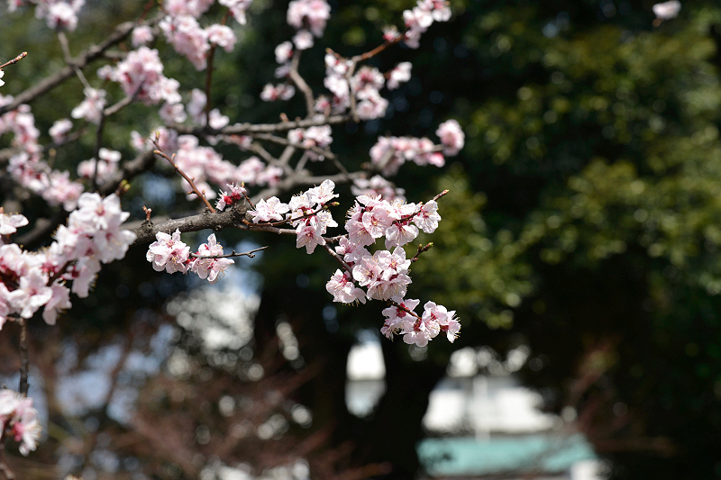 image0192