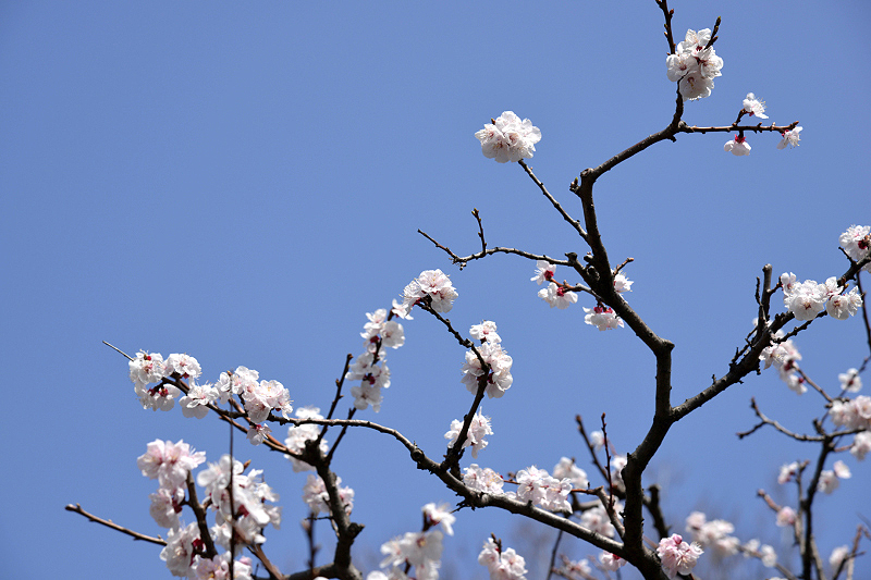 image0193