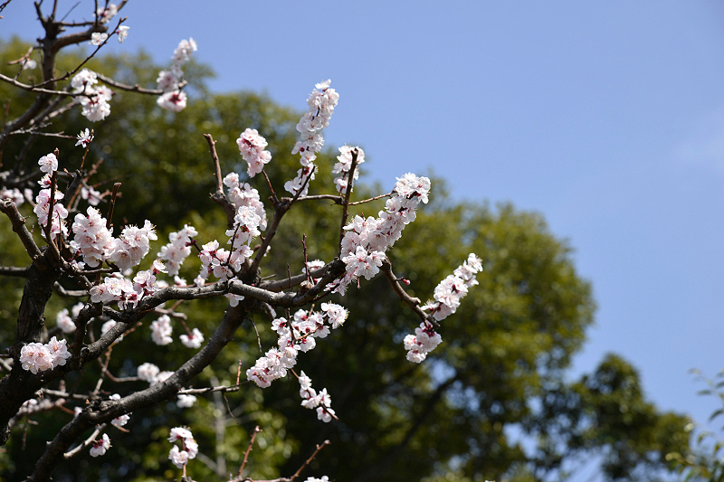 image0194