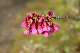 image0097