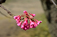 image0099