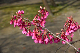 image0103