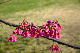image0104