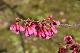 image0105
