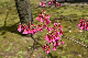 image0106