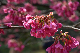 image0117