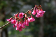 image0118