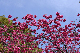 image0122