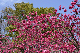 image0124