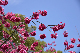 image0127
