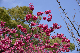 image0128