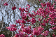 image0134