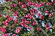 image0136