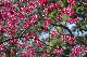 image0137