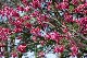 image0138