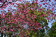 image0139