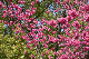 image0140