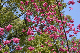 image0141