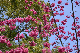 image0142