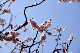 image0143