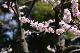 image0151