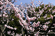 image0153