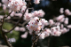image0157