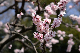 image0158