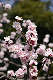 image0163
