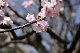 image0168