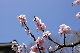 image0172