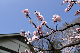 image0173