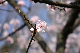 image0175