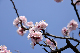image0177