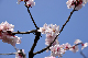 image0178