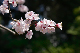 image0183
