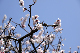 image0186