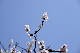 image0187