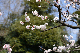 image0191