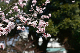 image0192