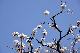 image0193